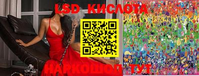 гашик Лесосибирск